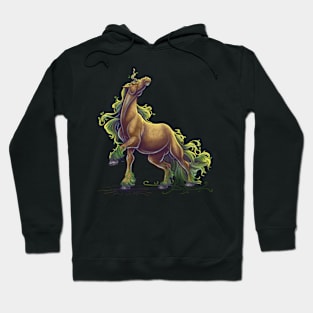 Earth Unicorn Hoodie